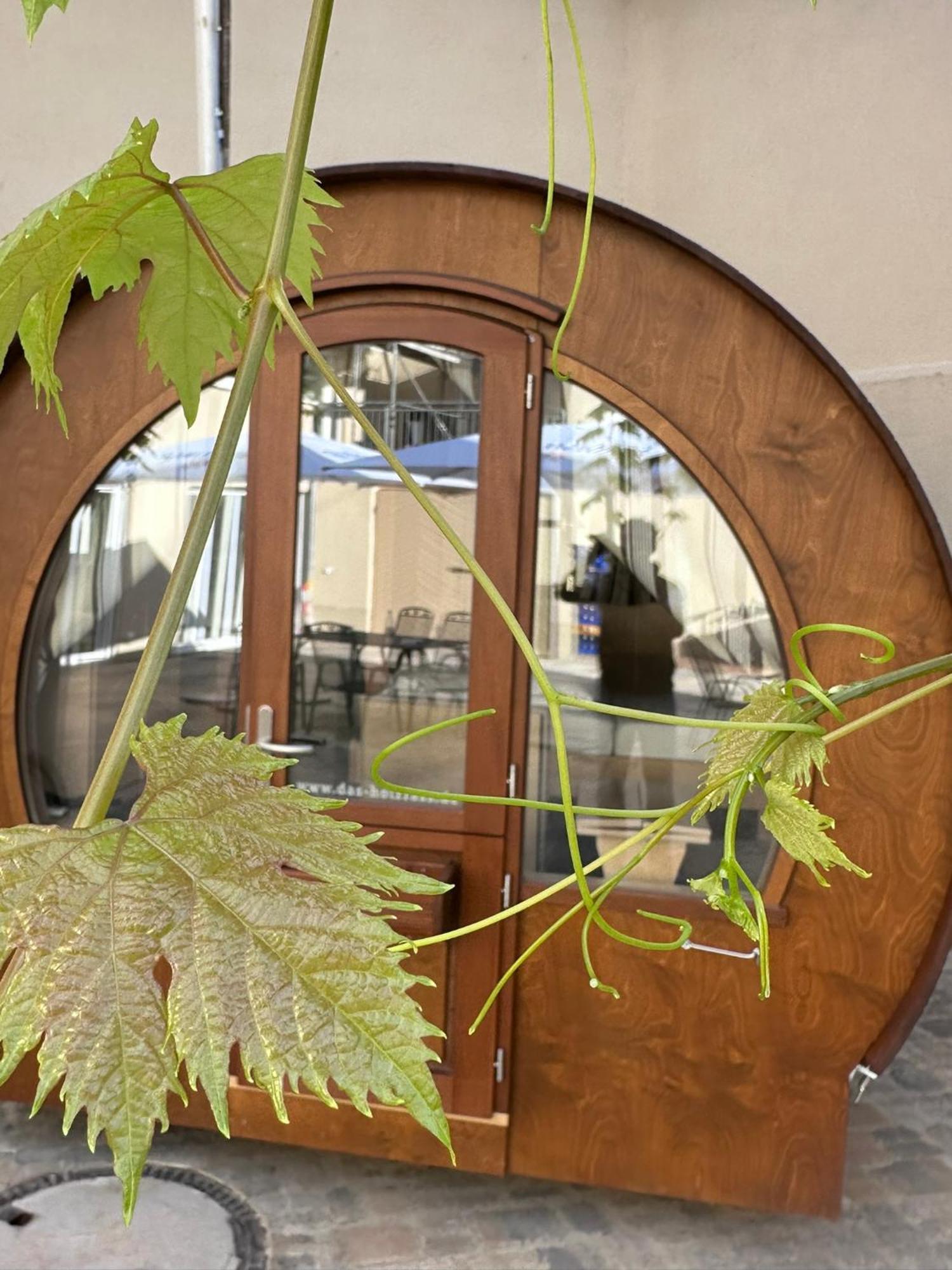 Weinhaus Selmigkeit 호텔 빈겐암라인 외부 사진